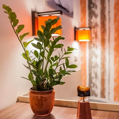 Apartmán In *